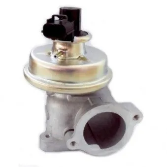 Vanne EGR HOFFER 7518350
