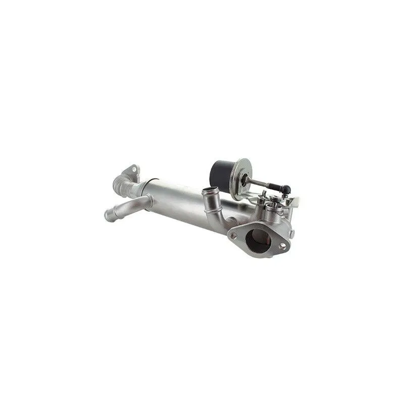 Radiateur, réaspiration des gaz d'échappement HOFFER 7518406