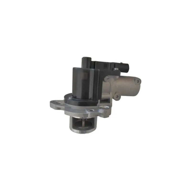 Vanne EGR HOFFER 7518411