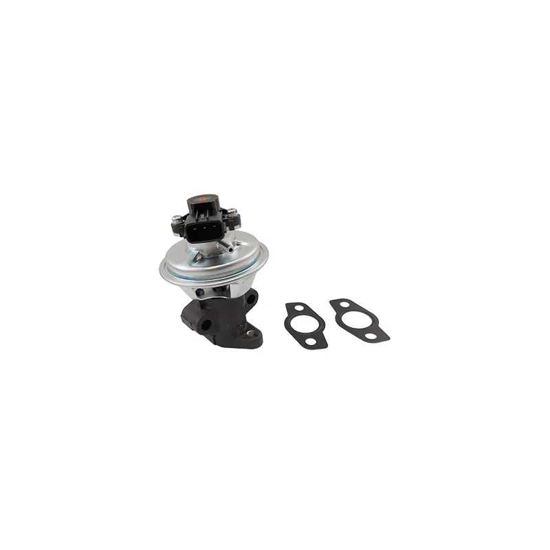 Vanne EGR HOFFER 7518447