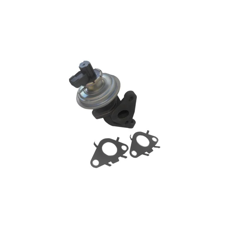 Vanne EGR HOFFER 7518469