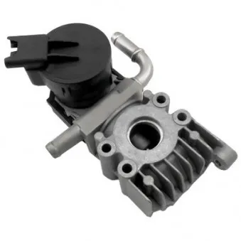 Vanne EGR HOFFER 7518491
