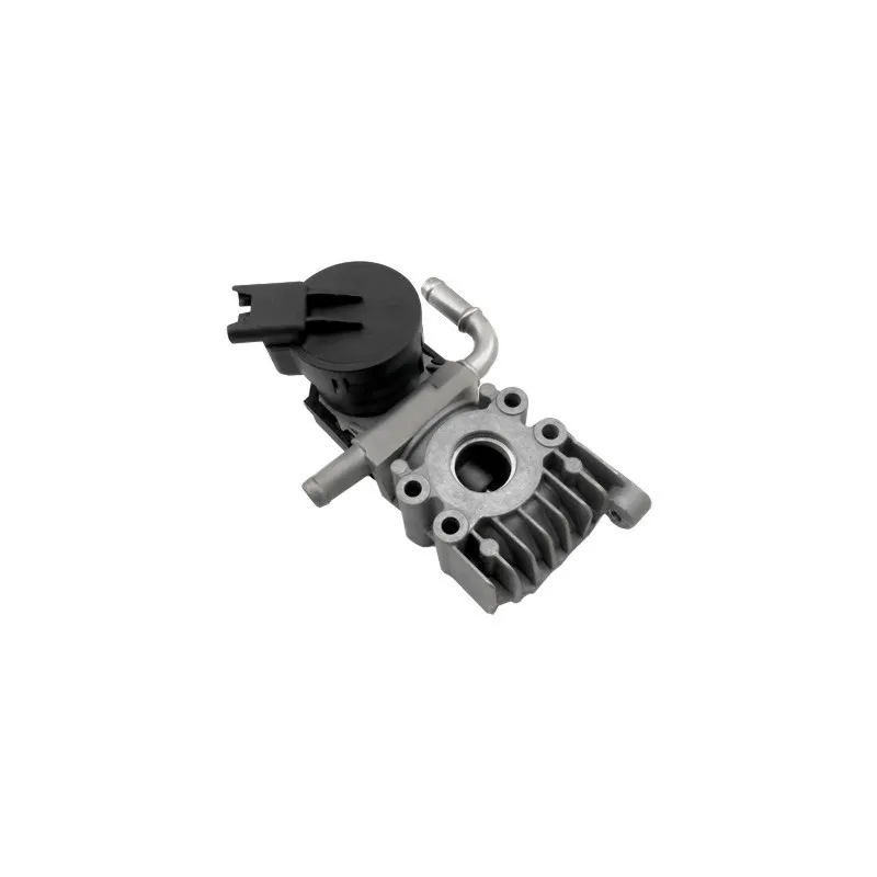 Vanne EGR HOFFER 7518491