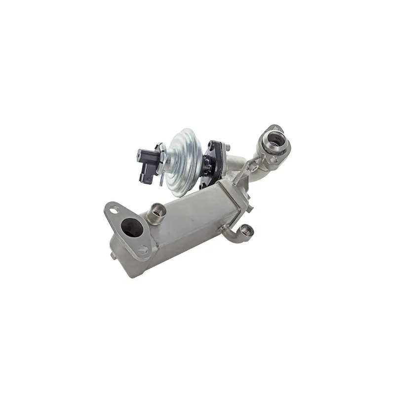 Module-EGR HOFFER 7518724