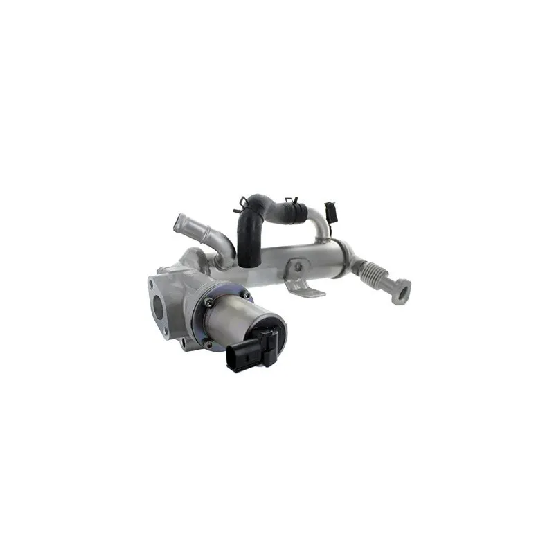 Module-EGR HOFFER 7518747
