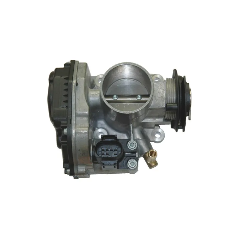 Corps papillon HOFFER 7519003