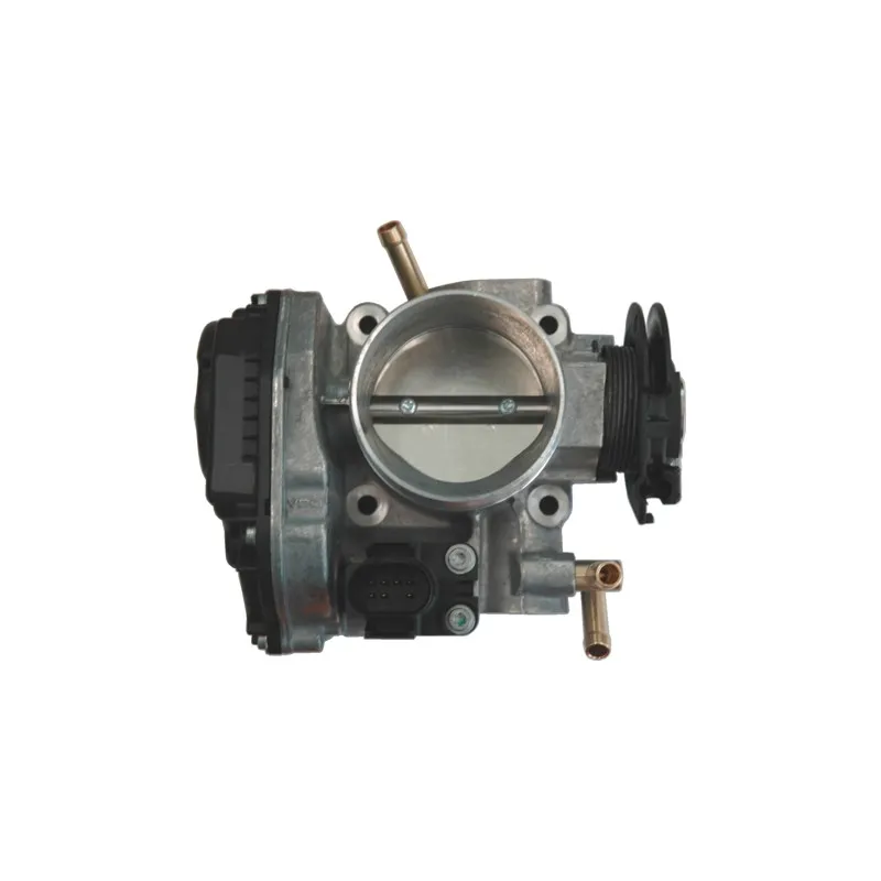 Corps papillon HOFFER 7519006