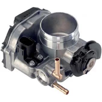 Corps papillon HOFFER