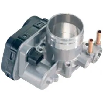 Corps papillon HOFFER