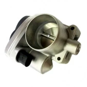 Corps papillon HOFFER 7519029