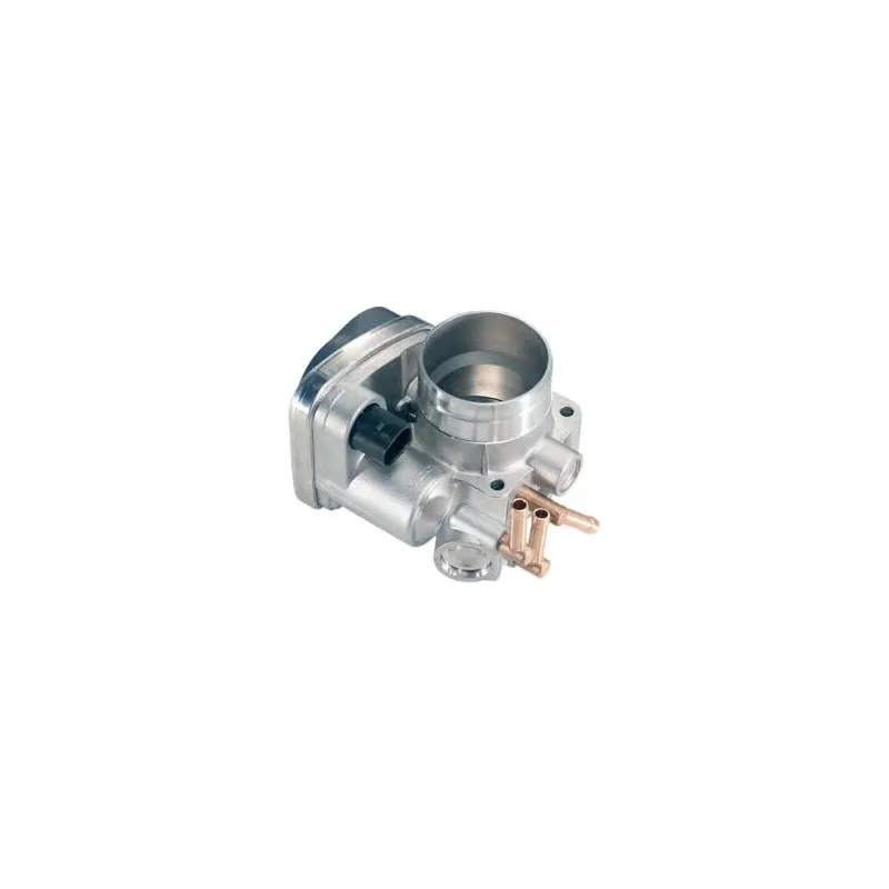 Corps papillon HOFFER 7519030