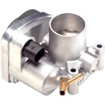 Corps papillon HOFFER