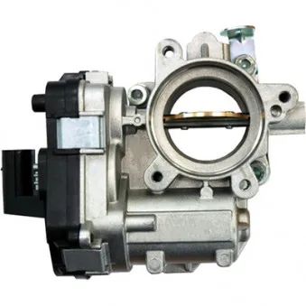 Corps papillon HOFFER