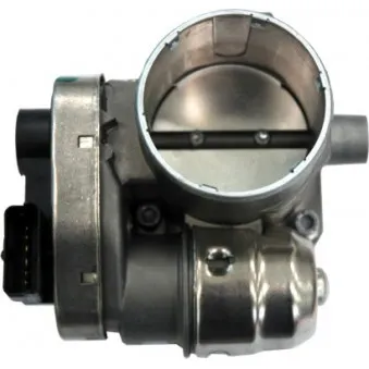 Corps papillon HOFFER