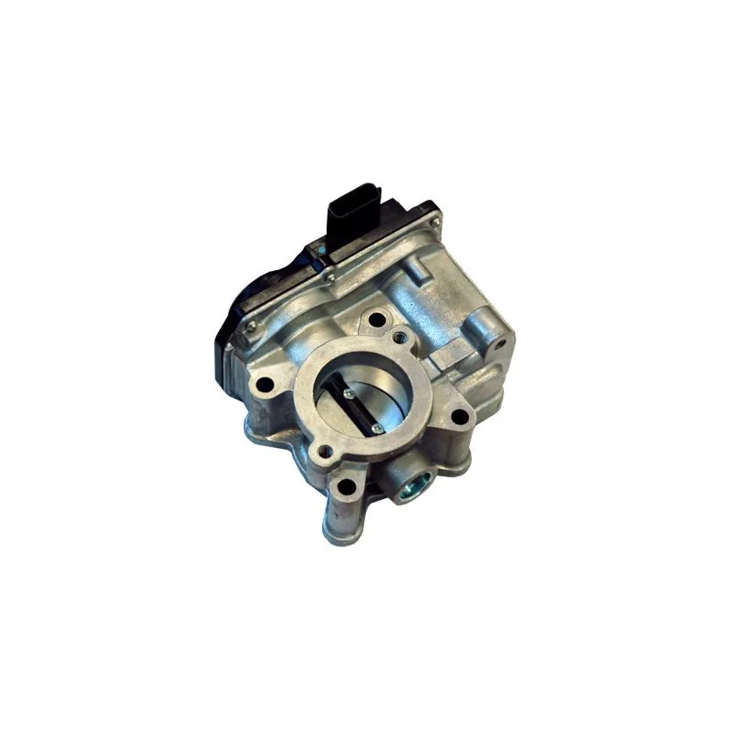 Corps papillon HOFFER 7519120