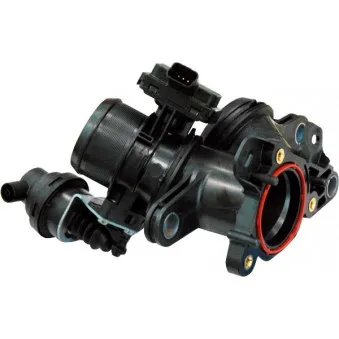 Corps papillon HOFFER