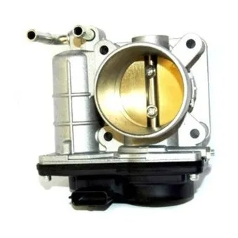 Corps papillon HOFFER