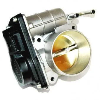 Corps papillon HOFFER