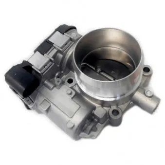 Corps papillon HOFFER