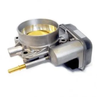 Corps papillon HOFFER