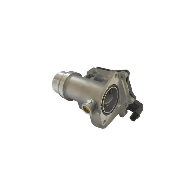 Corps papillon HOFFER 7519264R