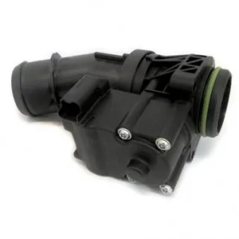 Corps papillon HOFFER