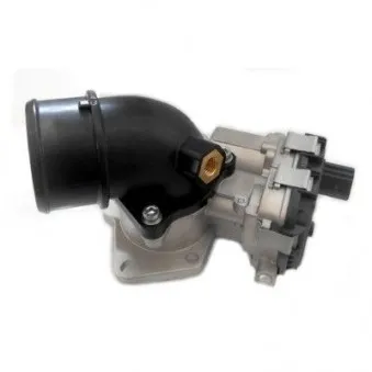 Corps papillon HOFFER