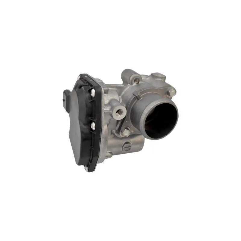 Corps papillon HOFFER 7519330