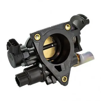 Corps papillon HOFFER