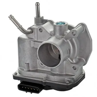 Corps papillon HOFFER