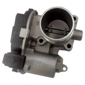 Corps papillon HOFFER