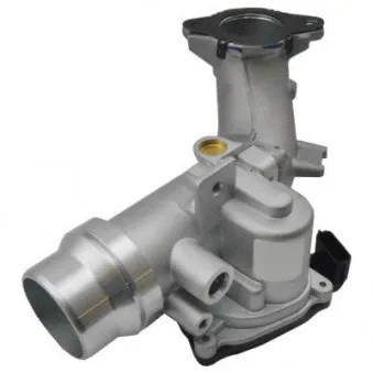 Corps papillon HOFFER