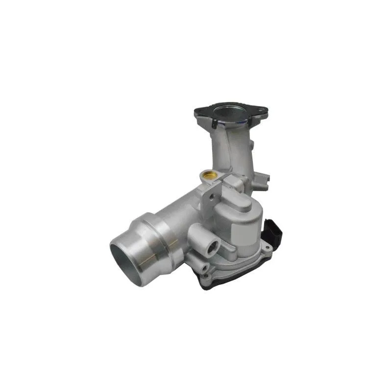 Corps papillon HOFFER 7519401