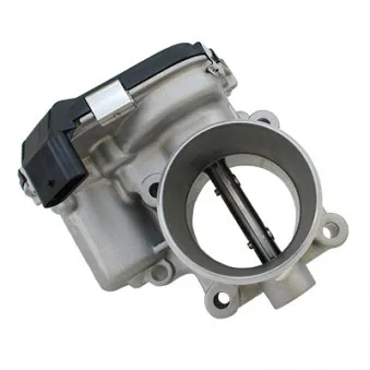 Corps papillon HOFFER