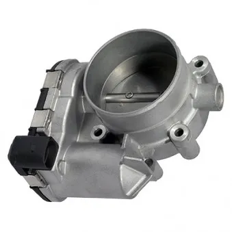 Corps papillon HOFFER