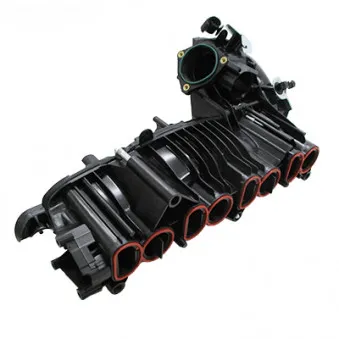 Module de tube d'admission HOFFER 7519549