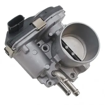 Corps papillon HOFFER