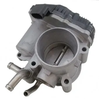 Corps papillon HOFFER