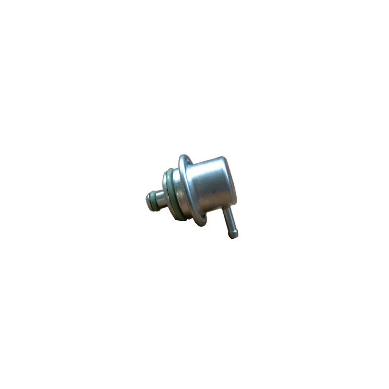 Régulateur de pression du carburant HOFFER 7525014