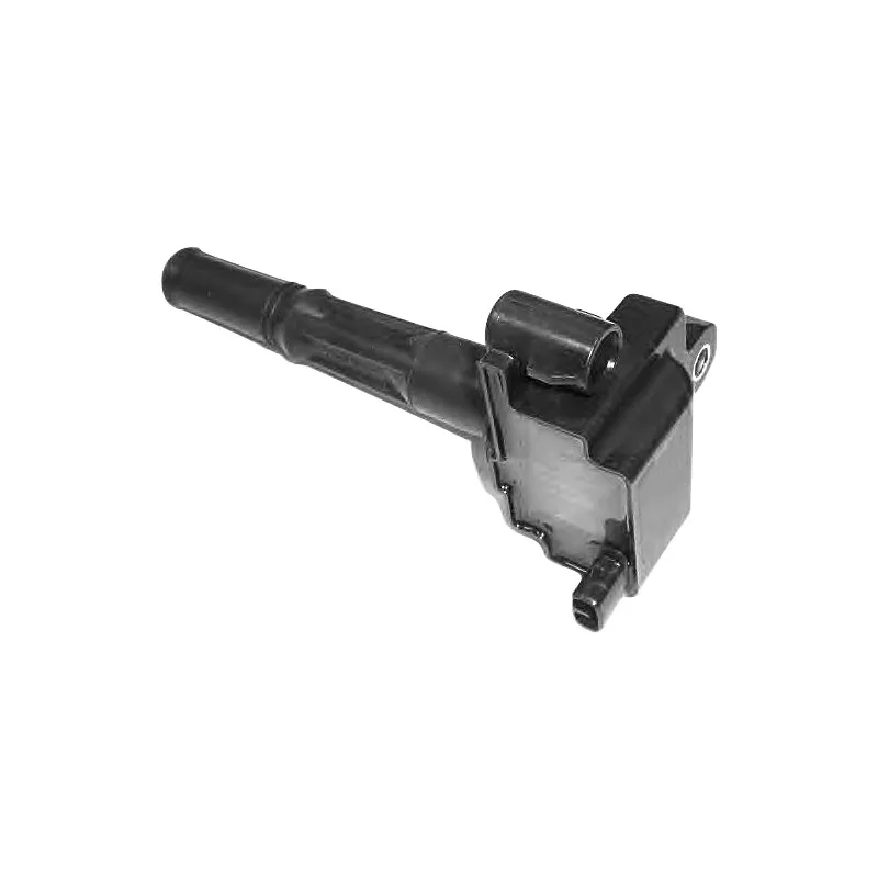 Bobine d'allumage HOFFER 8010588