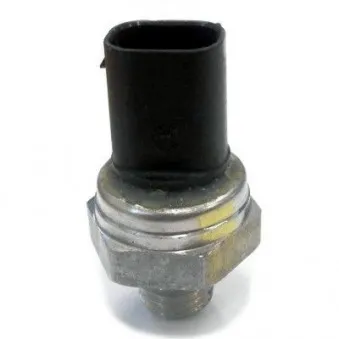 Capteur, pression de carburant HOFFER 8029362