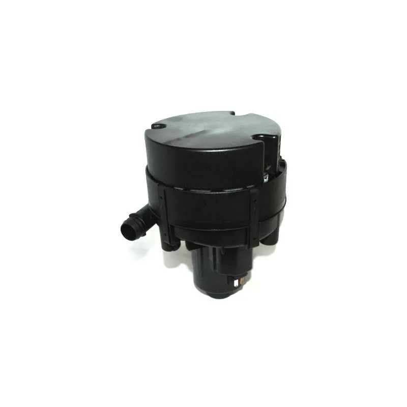 Pompe d'injection d'air secondaire HOFFER 8029606