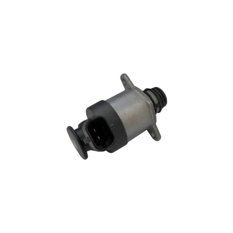 Régulateur de la pompe HOFFER 8029704