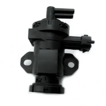 Transmetteur de pression, controle des gaz d'échappement HOFFER