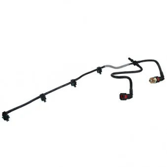 Tuyau, carburant de fuite HOFFER 80298014