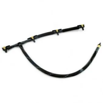 Tuyau, carburant de fuite HOFFER 8029802