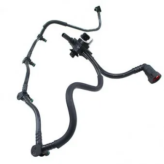 Tuyau, carburant de fuite HOFFER 80298025