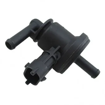 Transmetteur de pression HOFFER