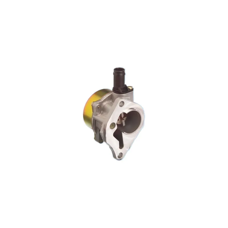 Pompe à vide, freinage HOFFER 8091051