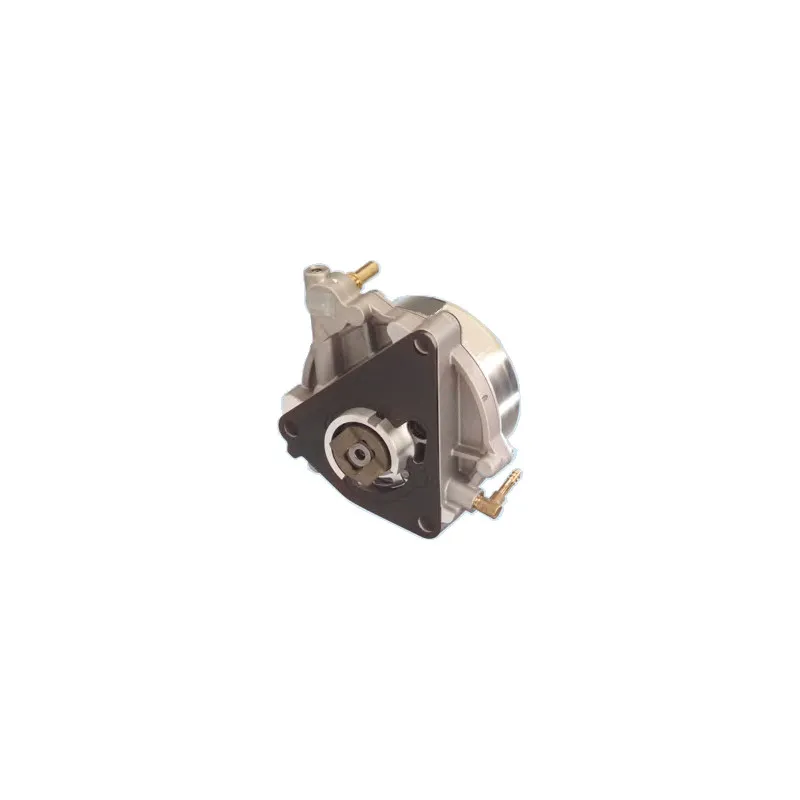 Pompe à vide, freinage HOFFER 8091055